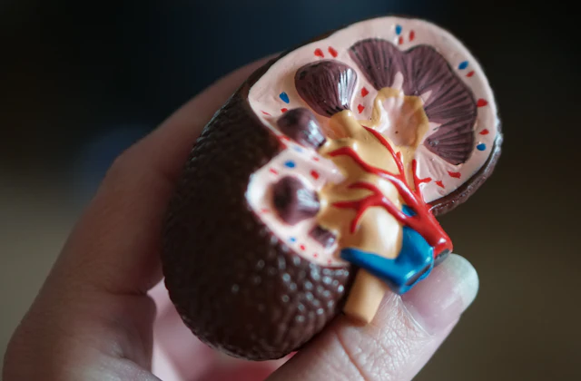 Urology
