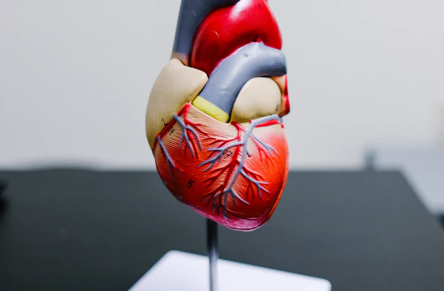Cardiology