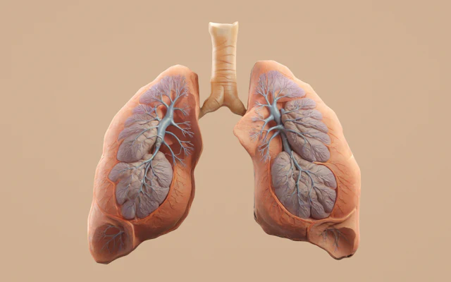 Chronic bronchitis and COPD